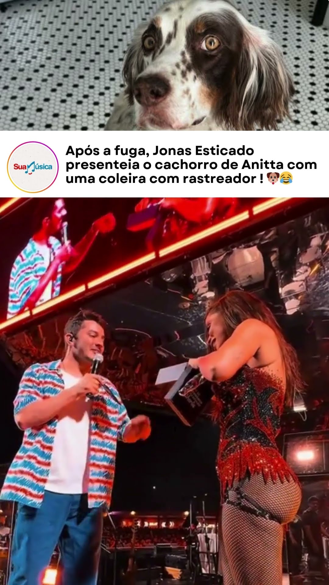 Fofo e necessário! ? Existe presente melhor pra uma mãe de pet fujão?